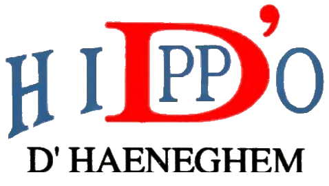 Hippo D'Haeneghem